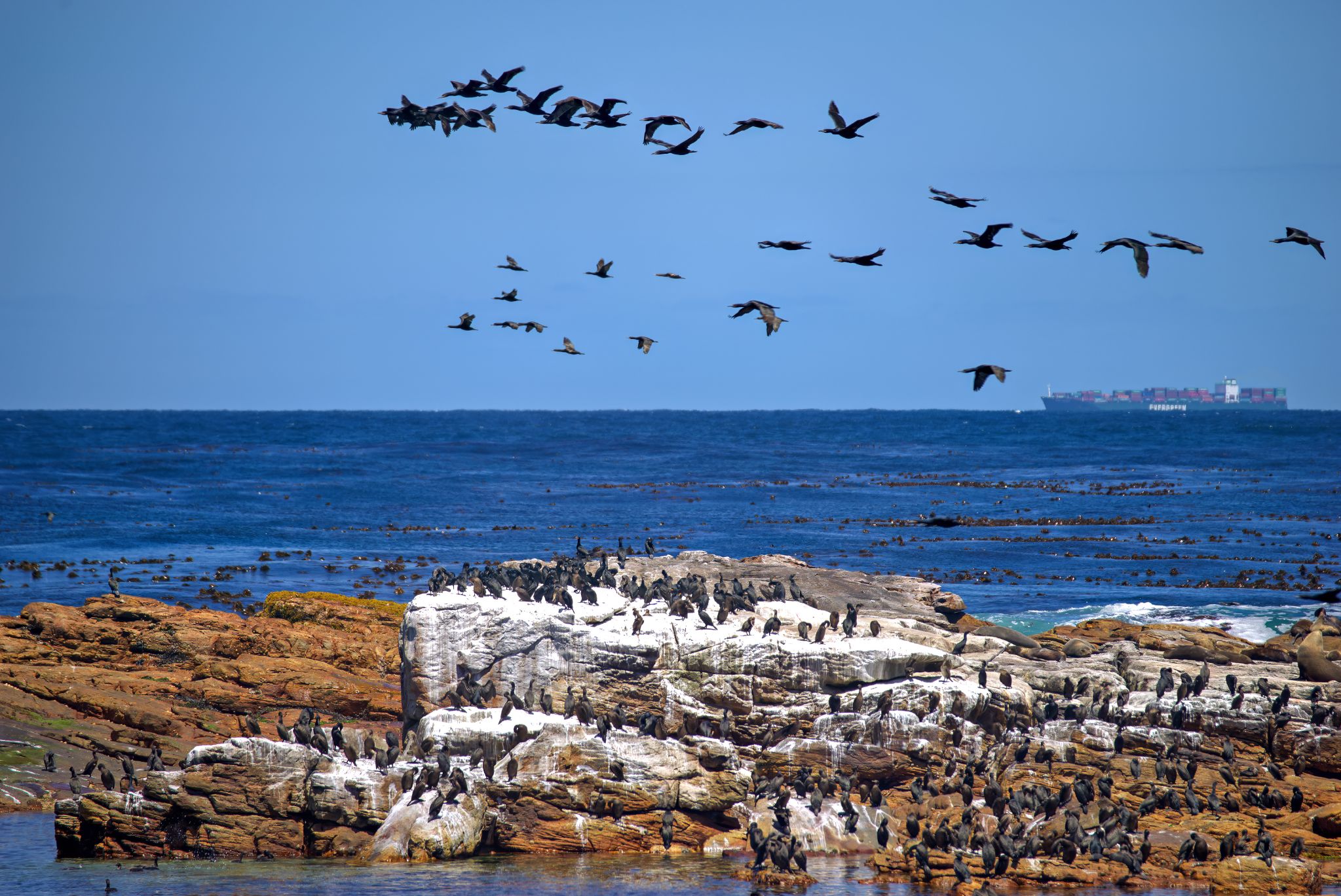 Kap der Guten Hoffnung